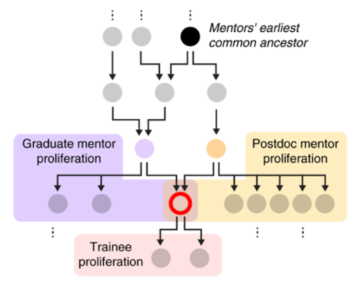 螢幕快照 2018-12-02 03.29.17